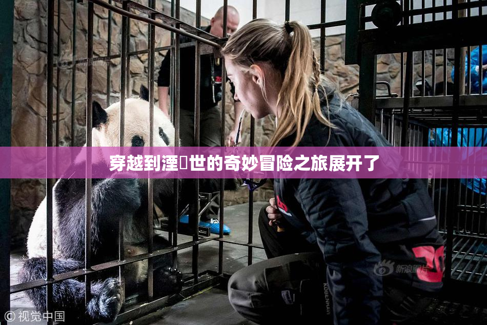 穿越到湮婸世的奇妙冒险之旅展开了