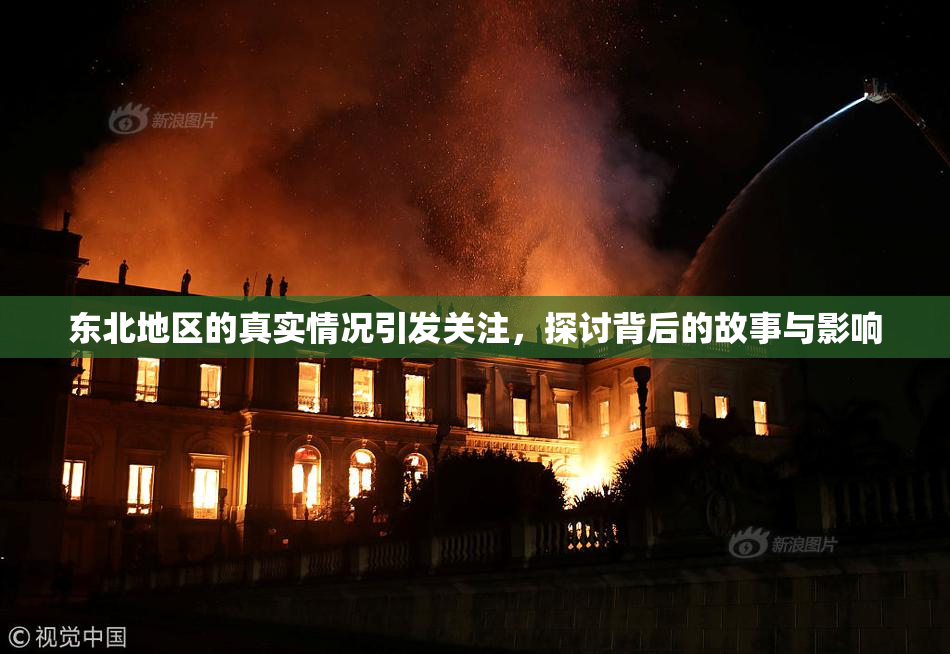 东北地区的真实情况引发关注，探讨背后的故事与影响