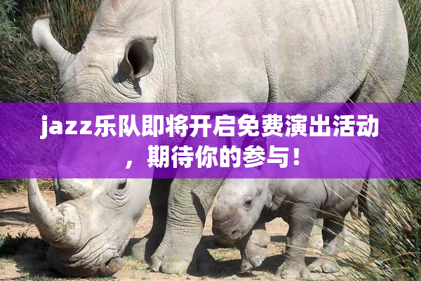 jazz乐队即将开启免费演出活动，期待你的参与！