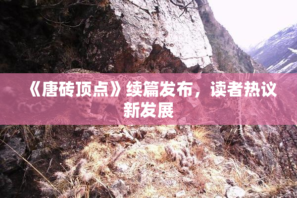 《唐砖顶点》续篇发布，读者热议新发展