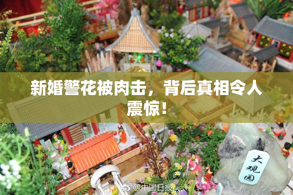新婚警花被肉击，背后真相令人震惊！