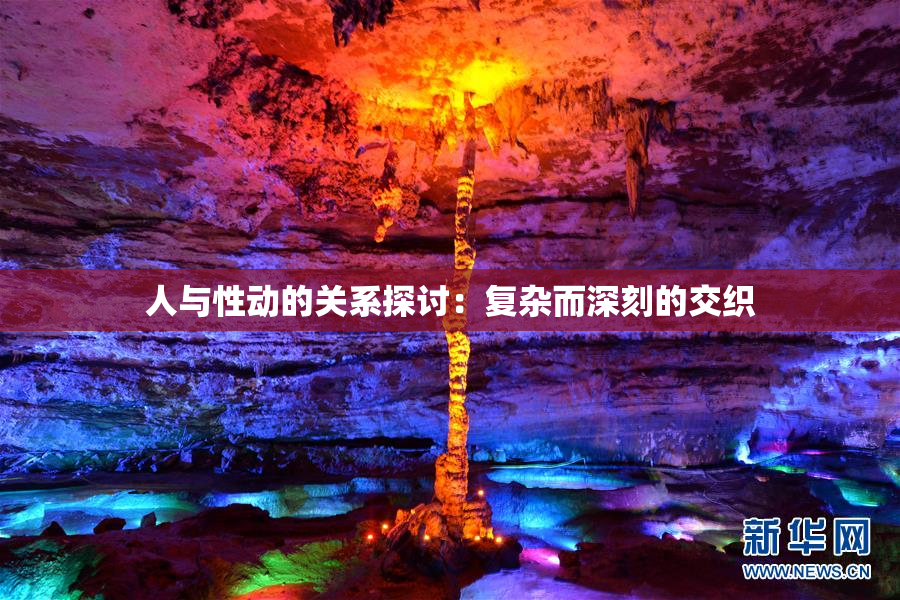 人与性动的关系探讨：复杂而深刻的交织