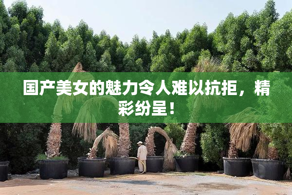 国产美女的魅力令人难以抗拒，精彩纷呈！