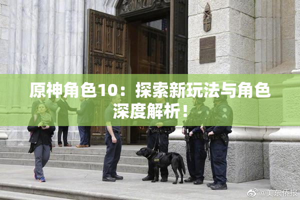 原神角色10：探索新玩法与角色深度解析！