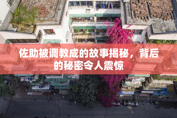 佐助被调教成的故事揭秘，背后的秘密令人震惊