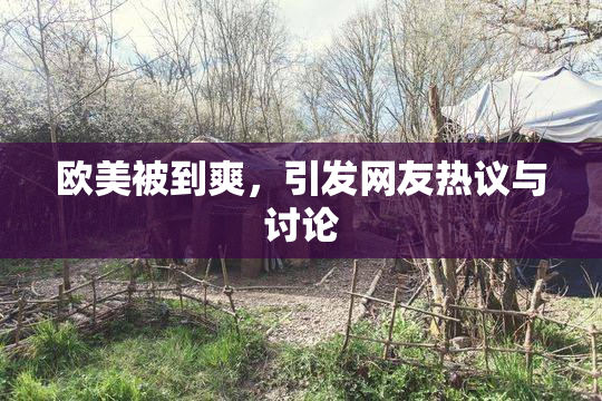 欧美被到爽，引发网友热议与讨论