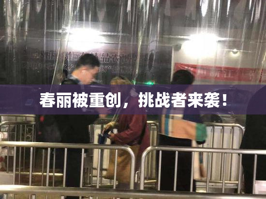 春丽被重创，挑战者来袭！