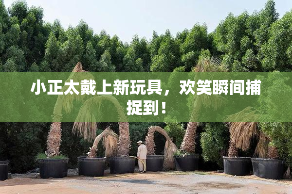 小正太戴上新玩具，欢笑瞬间捕捉到！