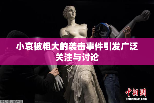 小哀被粗大的袭击事件引发广泛关注与讨论