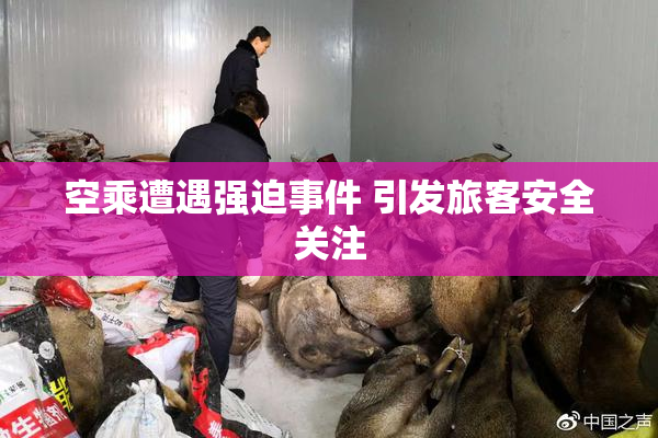 空乘遭遇强迫事件 引发旅客安全关注