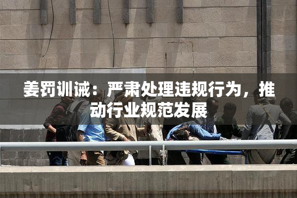 姜罚训诫：严肃处理违规行为，推动行业规范发展