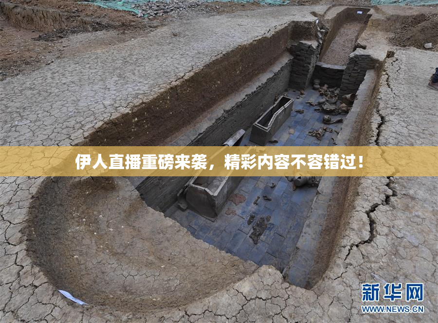 伊人直播重磅来袭，精彩内容不容错过！