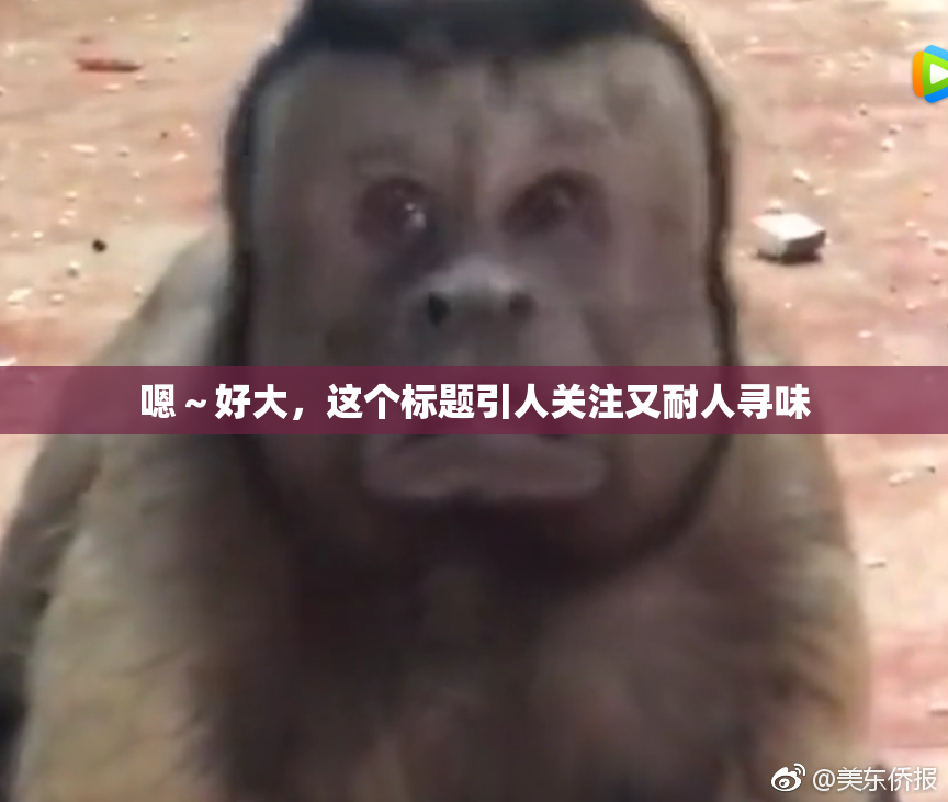 嗯～好大，这个标题引人关注又耐人寻味