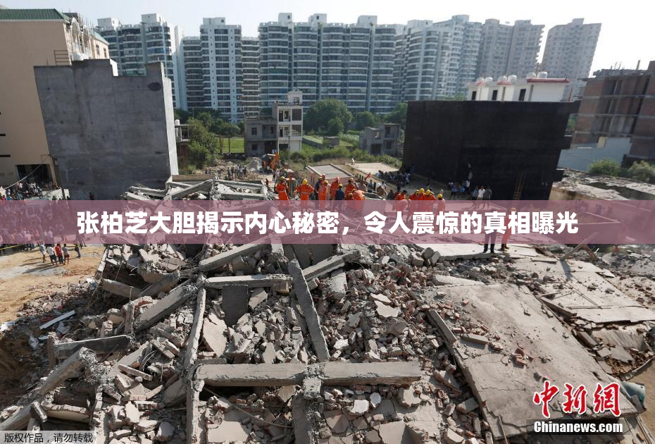 张柏芝大胆揭示内心秘密，令人震惊的真相曝光