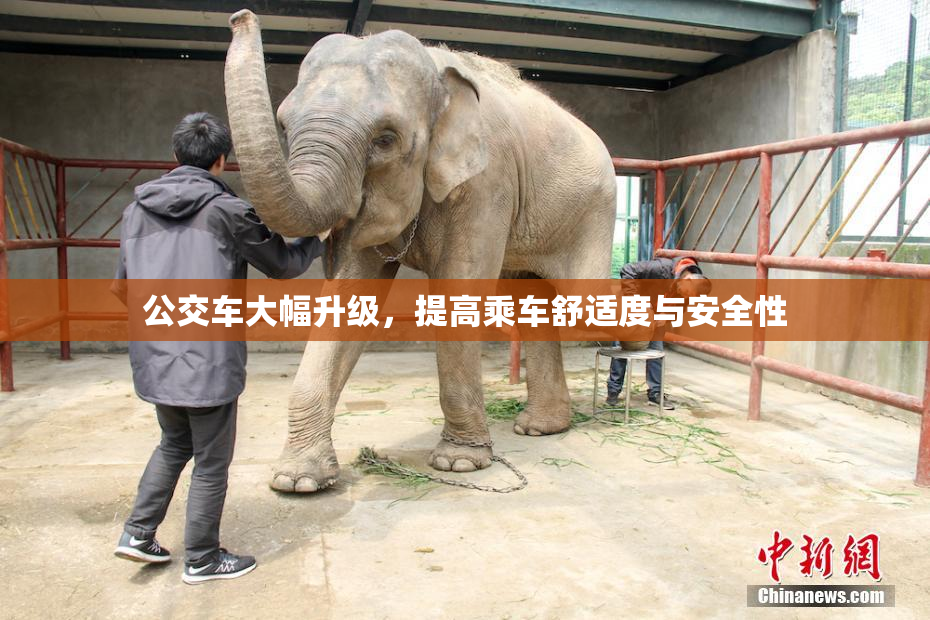 公交车大幅升级，提高乘车舒适度与安全性