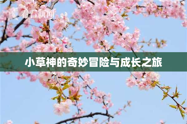 小草神的奇妙冒险与成长之旅