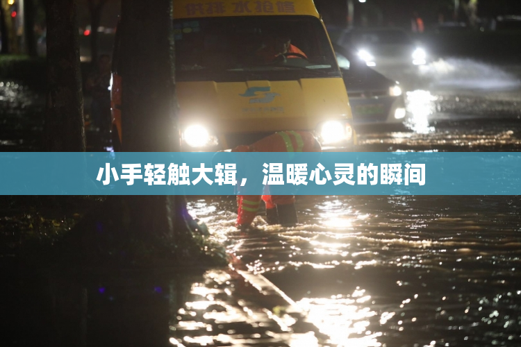小手轻触大辑，温暖心灵的瞬间