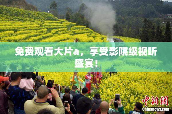 免费观看大片a，享受影院级视听盛宴！