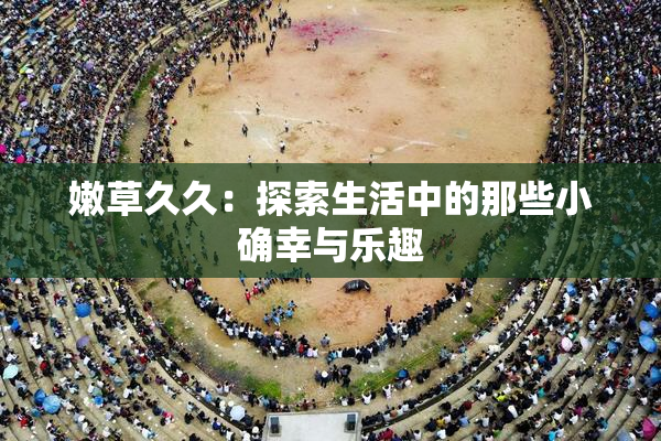 嫩草久久：探索生活中的那些小确幸与乐趣
