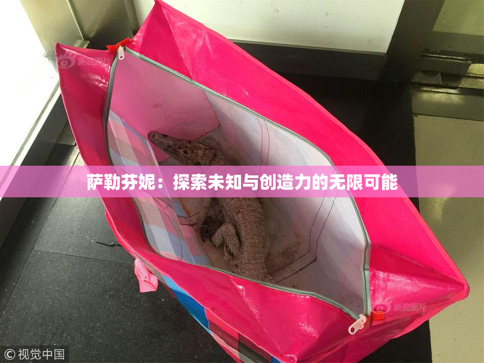 萨勒芬妮：探索未知与创造力的无限可能