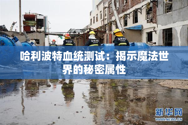 哈利波特血统测试：揭示魔法世界的秘密属性