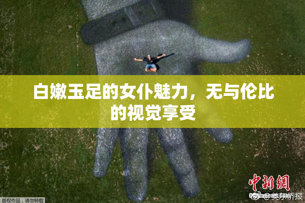 白嫩玉足的女仆魅力，无与伦比的视觉享受