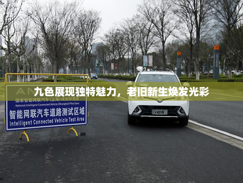九色展现独特魅力，老旧新生焕发光彩