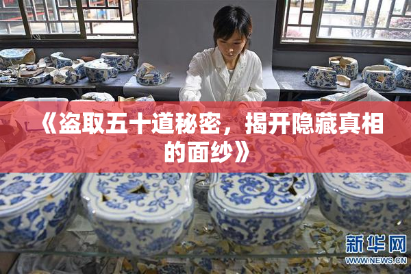 《盗取五十道秘密，揭开隐藏真相的面纱》