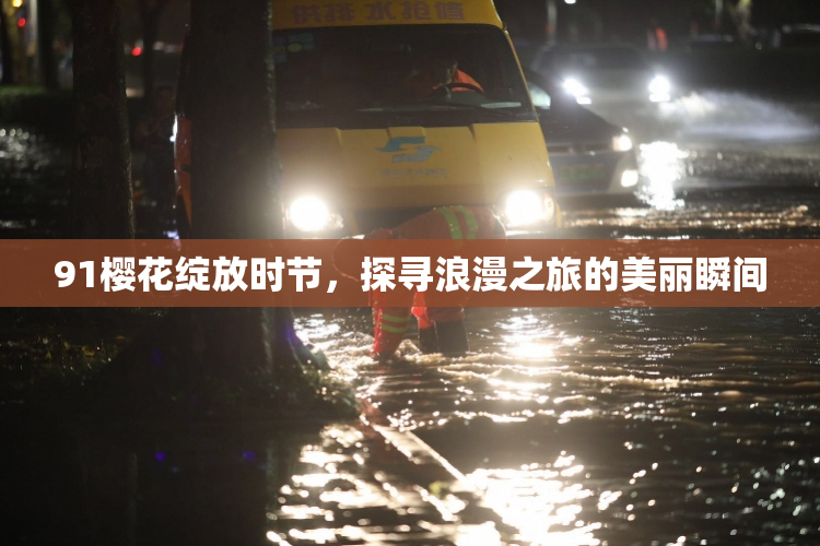 91樱花绽放时节，探寻浪漫之旅的美丽瞬间