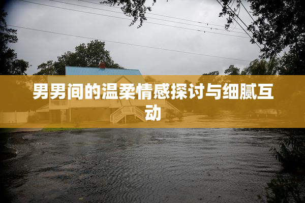 男男间的温柔情感探讨与细腻互动