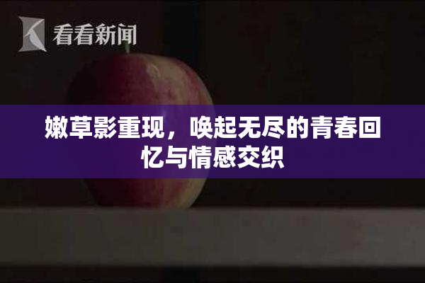 嫩草影重现，唤起无尽的青春回忆与情感交织