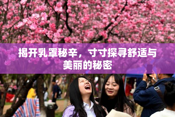 揭开乳罩秘辛，寸寸探寻舒适与美丽的秘密