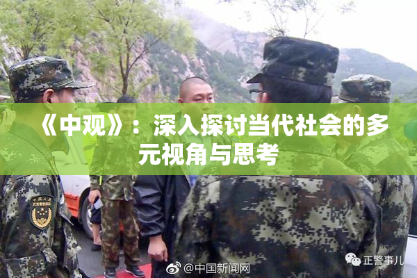 《中观》：深入探讨当代社会的多元视角与思考