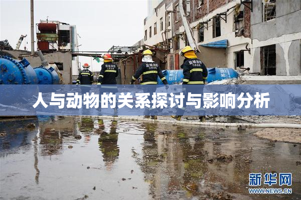 人与动物的关系探讨与影响分析