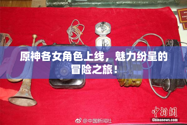 原神各女角色上线，魅力纷呈的冒险之旅！