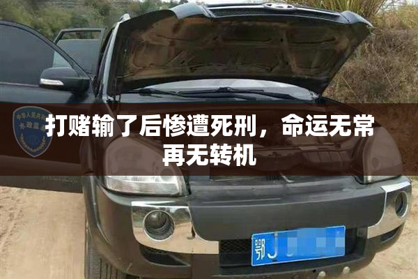 打赌输了后惨遭死刑，命运无常再无转机