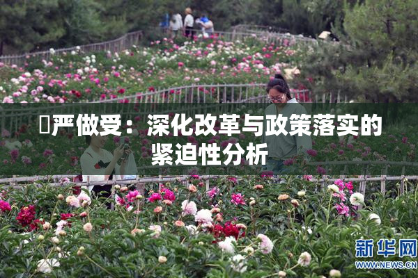 囯严做受：深化改革与政策落实的紧迫性分析