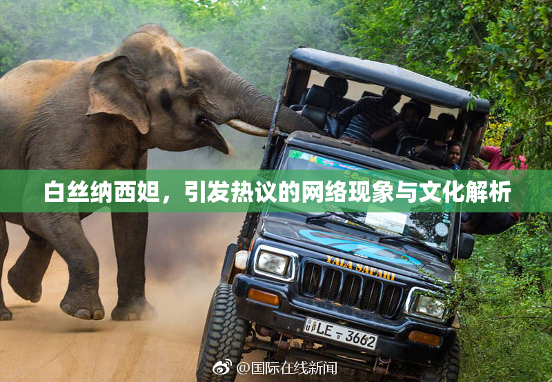 白丝纳西妲，引发热议的网络现象与文化解析