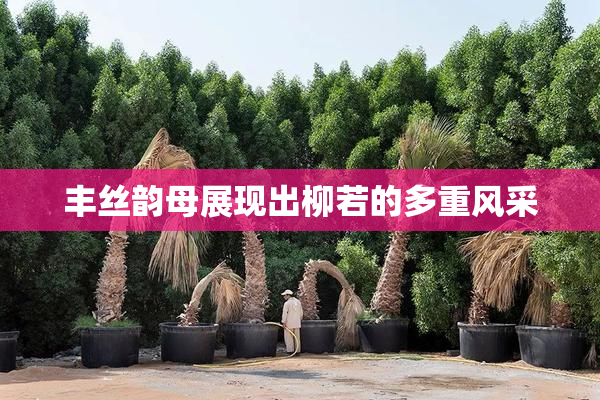 丰丝韵母展现出柳若的多重风采