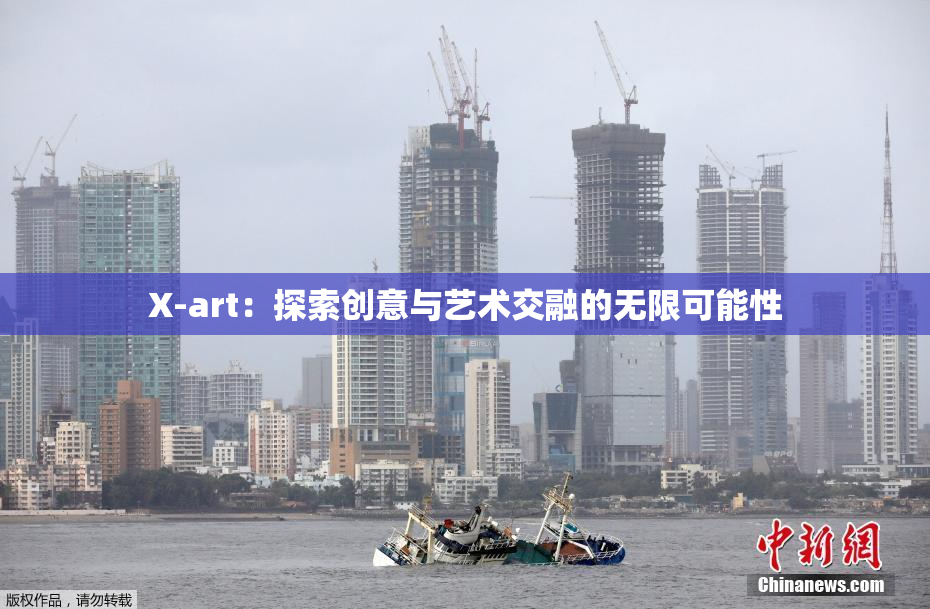 X-art：探索创意与艺术交融的无限可能性