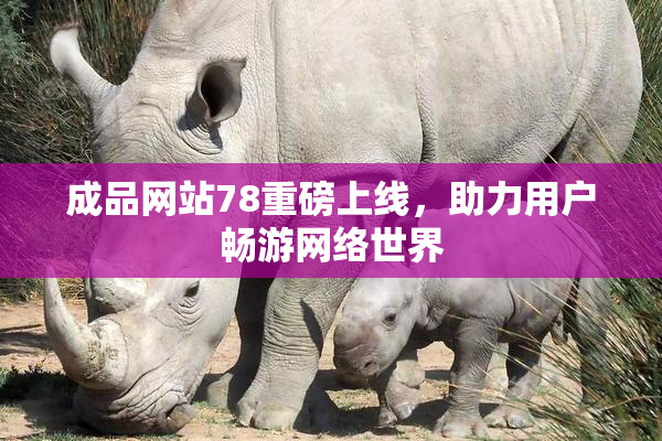 成品网站78重磅上线，助力用户畅游网络世界