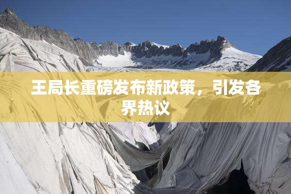 王局长重磅发布新政策，引发各界热议