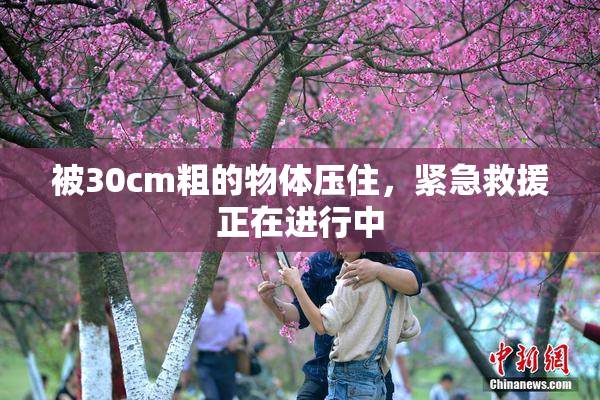 被30cm粗的物体压住，紧急救援正在进行中