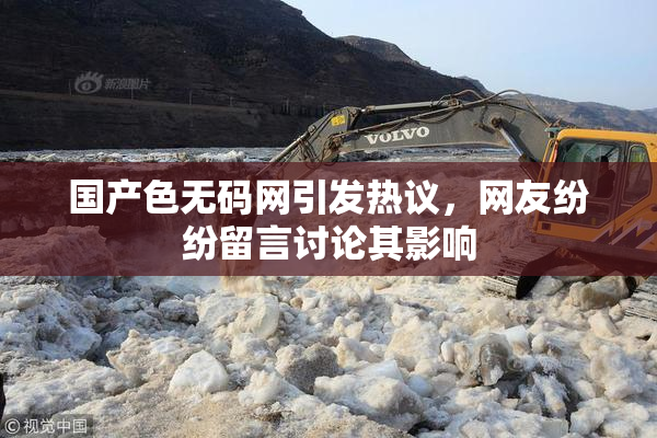 国产色无码网引发热议，网友纷纷留言讨论其影响