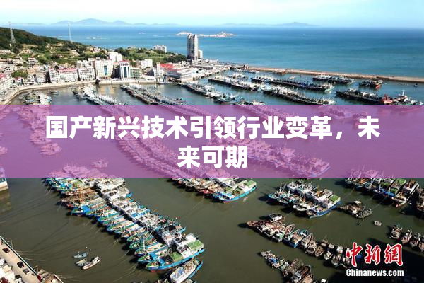 国产新兴技术引领行业变革，未来可期