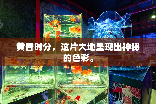 黄昏时分，这片大地呈现出神秘的色彩。