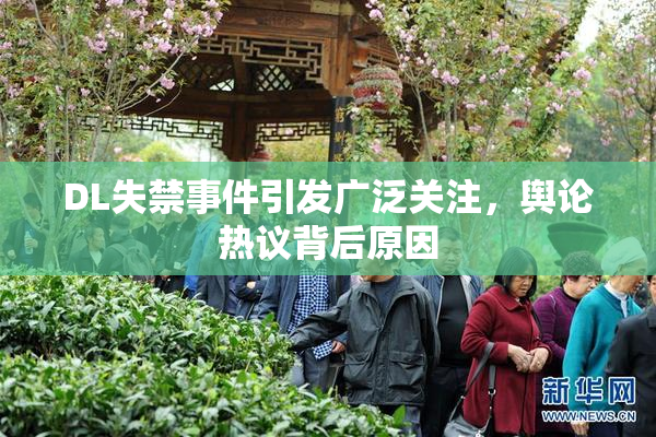 DL失禁事件引发广泛关注，舆论热议背后原因
