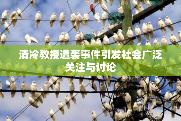 清冷教授遭袭事件引发社会广泛关注与讨论
