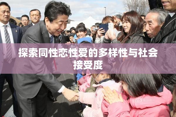 探索同性恋性爱的多样性与社会接受度