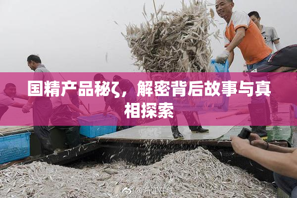 国精产品秘ζ，解密背后故事与真相探索